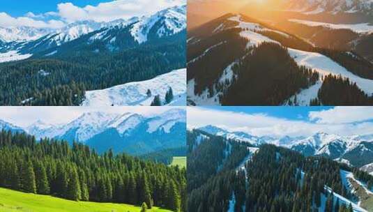 天山雪岭云杉林 新疆高清在线视频素材下载