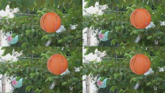 中秋节绿叶间挂的纸灯笼高清在线视频素材下载