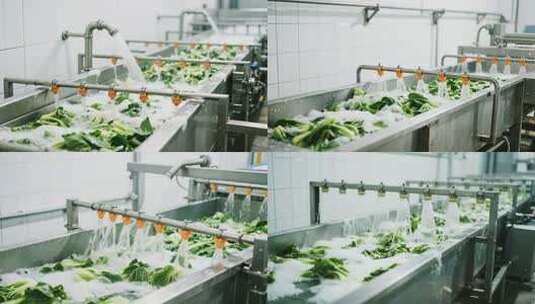 蔬菜流水线清洗素材高清在线视频素材下载