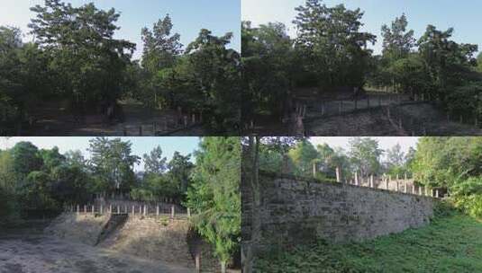 树林中石砌建筑及阶梯景观高清在线视频素材下载