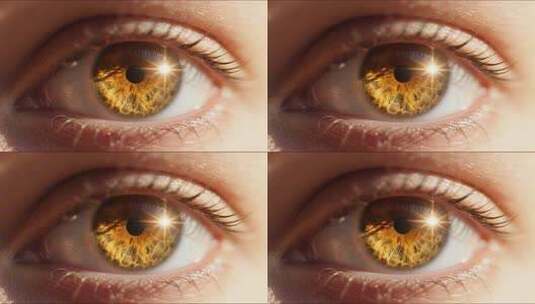 人眼微距特写素材高清在线视频素材下载