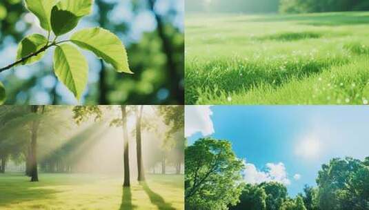 阳光明媚自然风光延时摄影高清在线视频素材下载