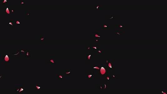 花瓣飘落（带通道）高清在线视频素材下载