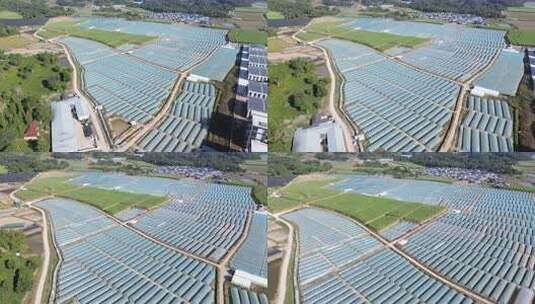 农业大棚基地俯瞰全景高清在线视频素材下载