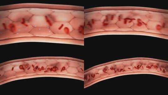 有/没有分子的血管中的血细胞高清在线视频素材下载