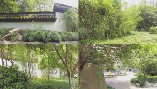 竹林树林的庭院高清在线视频素材下载