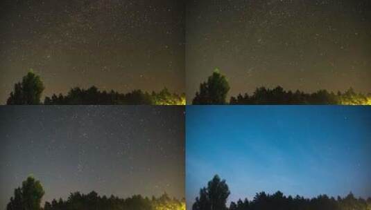 夜空中树木上移动的星星时间流逝高清在线视频素材下载