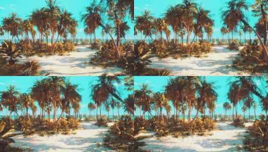 4K 海滩上有棕榈树的荒岛高清在线视频素材下载