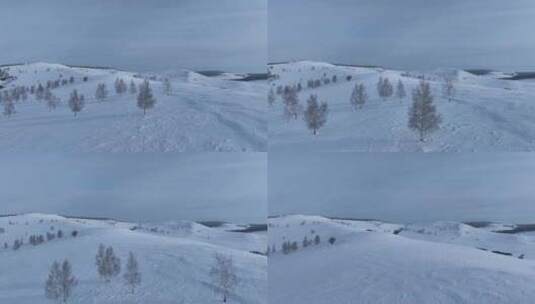 呼伦贝尔疏林雪原风光高清在线视频素材下载