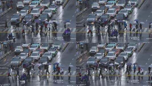 雨天街道路口斑马线人群过马路高清在线视频素材下载