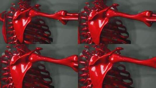 男性骨骼解剖学的3D渲染医学动画高清在线视频素材下载