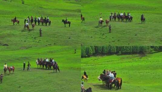 新疆唐布拉草原上骑马HDR航拍高清在线视频素材下载