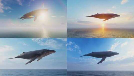 大气震撼唯美鲸鱼飞在海面高清在线视频素材下载