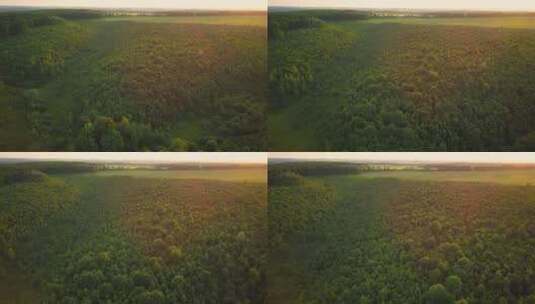 无人机航拍绿色森林高清在线视频素材下载