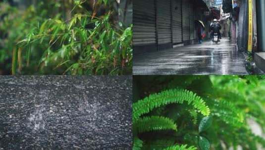 下雨天行人巷子屋檐雨滴雨水马路面花草树叶高清在线视频素材下载