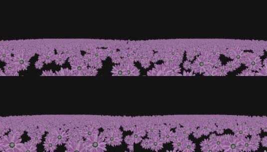 紫罗兰丝花粒子海冲屏幕视频高清在线视频素材下载