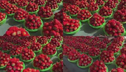 集市摆摊卖草莓春季水果高清在线视频素材下载