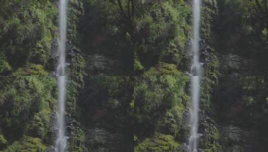 树林中的瀑布高清在线视频素材下载