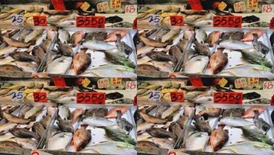 市场上的新鲜活鱼高清在线视频素材下载