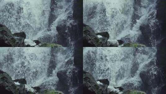 瀑布岩石水流高清在线视频素材下载
