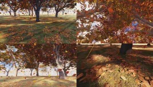 4K 秋天金色树叶缓慢飘落慢镜头高清在线视频素材下载