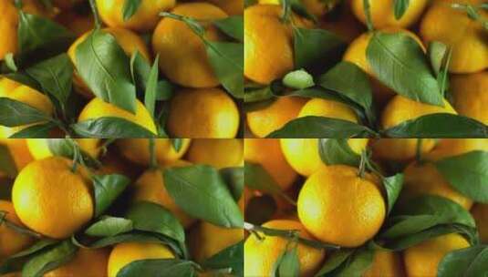 旋转的橙黄色柑橘高清在线视频素材下载