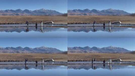 高原枯黄草原湖泊雪山拍写真婚纱2高清在线视频素材下载