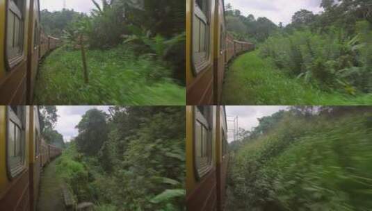 一辆古老的蒸汽火车穿过茂密的丛林高清在线视频素材下载
