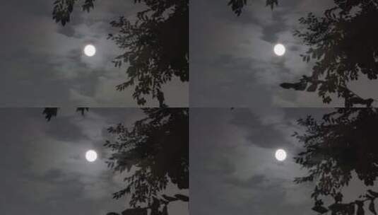 树影月亮黑天月亮2高清在线视频素材下载