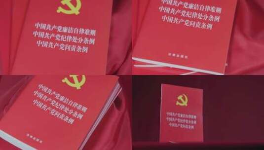 中国共产党廉洁自律准则 纪律处分条例 问责高清在线视频素材下载