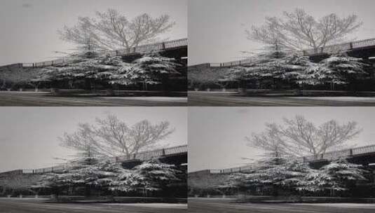 北京798艺术区冬季雪景初雪老厂房工厂高清在线视频素材下载