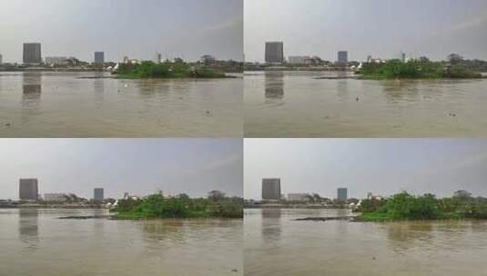 航拍福建漳州九龙江江心岛白鹭栖息地高清在线视频素材下载