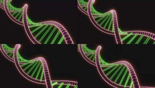 DNA螺丝结构生物链高清在线视频素材下载