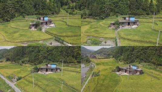 稻田里的房子高清在线视频素材下载