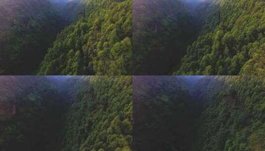 航拍大山风景森林峡谷早晨阳光美丽自然素材高清在线视频素材下载