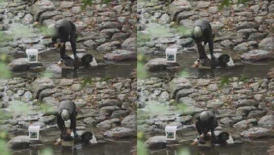 浙江杭州龙门古镇老奶奶在溪边洗衣服4K高清在线视频素材下载