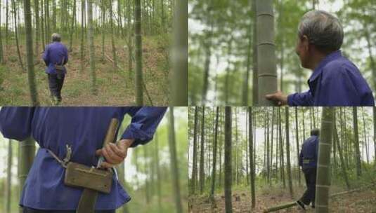 合集老人走在竹林里抚摸竹子用砍刀寻找材料高清在线视频素材下载