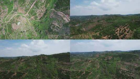 合集山川丘陵水果种植基地航拍高清在线视频素材下载