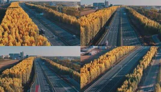 秋天【高速公路】京哈高速高清在线视频素材下载