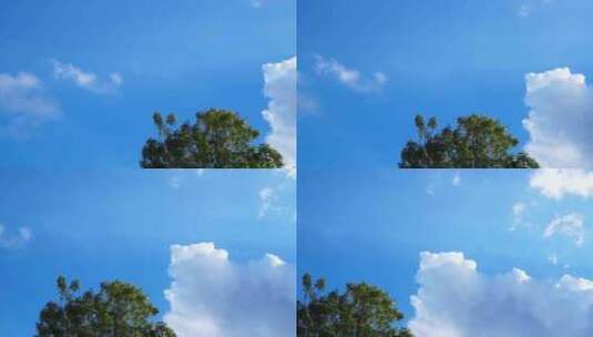 天空树枝蓝天白云高清在线视频素材下载