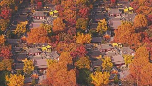 南京钟山风景区灵谷寺秋景高清在线视频素材下载