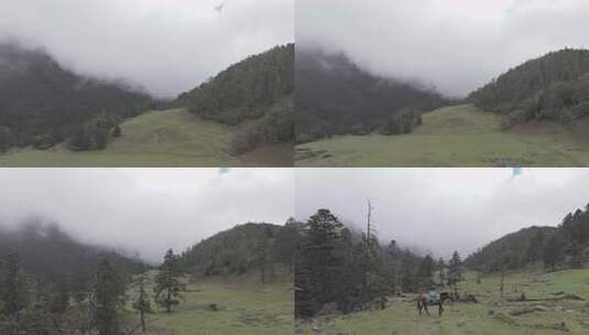 川西沙埋湖水高海拔自然风光视频素材高清在线视频素材下载