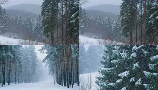 冬季针叶林雪景  下雪 大雪天高清在线视频素材下载