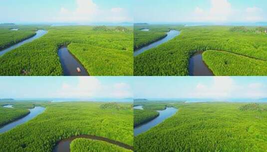 航拍红树林河流景观高清在线视频素材下载
