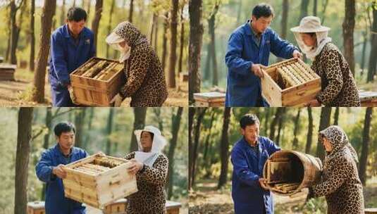 养蜂人树林中查看蜂箱高清在线视频素材下载