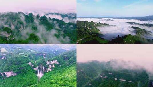 【36组】自然生态 大山河流  森林云海高清在线视频素材下载