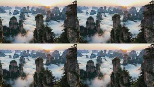 张家界武陵源景区云海日出高清在线视频素材下载