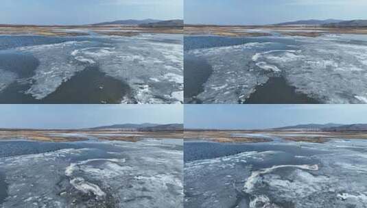 呼伦贝尔早春冰雪湿地和水鸟高清在线视频素材下载