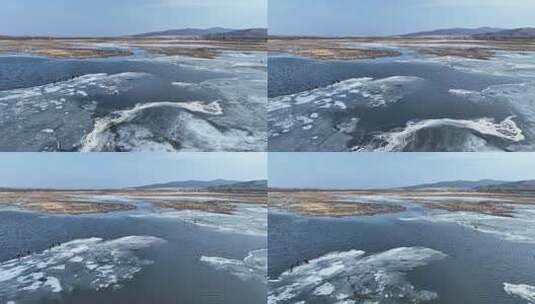 呼伦贝尔早春冰雪湿地和水鸟高清在线视频素材下载