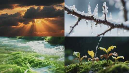 山自然河水生态山川植物山水动物种子发芽云高清在线视频素材下载